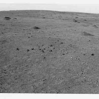 Site 110BR #8