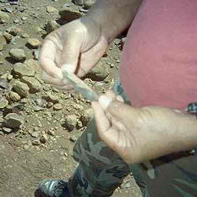 Potential lithic artifact