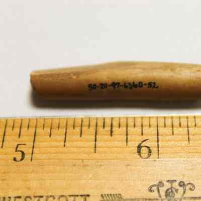 Portion of an echinoid abrader with identification number: The image displays a small, labeled echinoid artifact placed beside a wooden ruler, indicating its size.