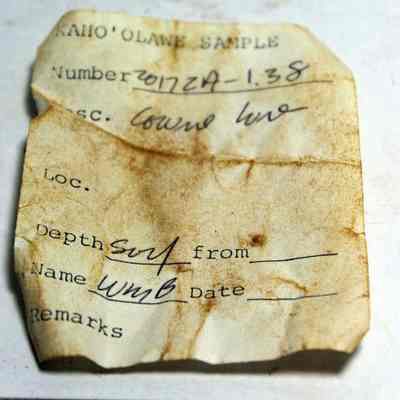 Artifact slip for intact cowrie shell (leho) lure: Original format: Other