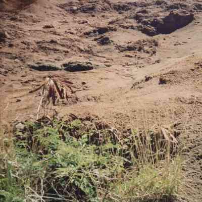 Hardpan terrain