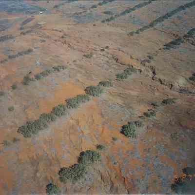 Aerial-unidentified tree lines