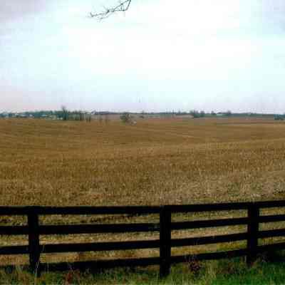 Fields at Anderson Circle Farm 2