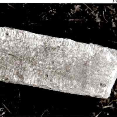 Stone from Ambrose Bunton House