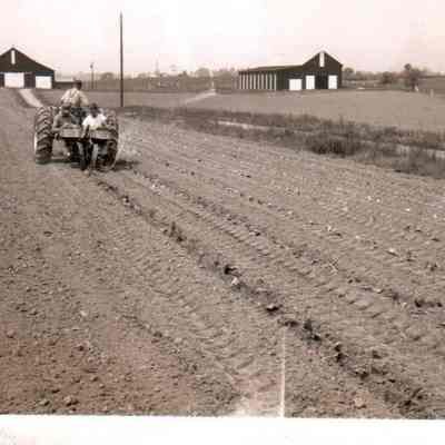 Spring Planting