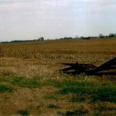 Anderson Circle Fields
