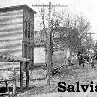Salvisa 1