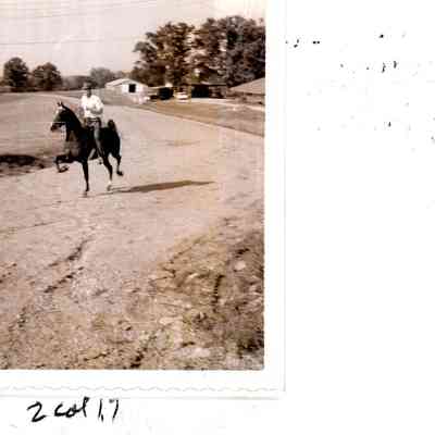 The horse pictured was ridden by Marty Mueller in July 1965