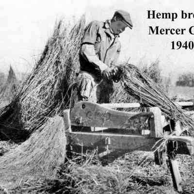 Hemp Breaking in Mercer County