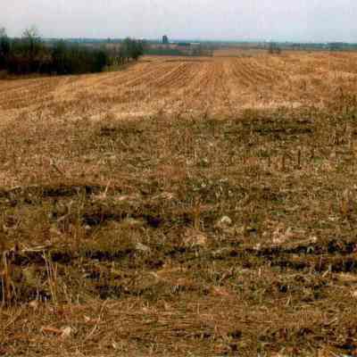 Fields at Anderson Circle Farm 3