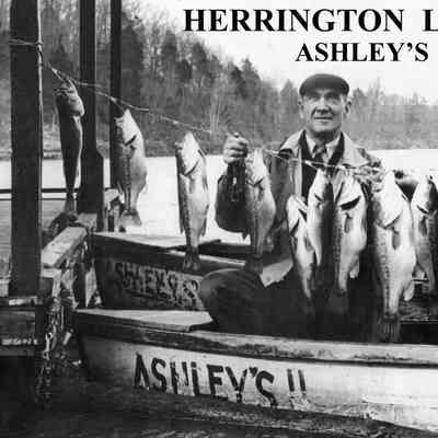 Ashley's Camp at Lake Herrington