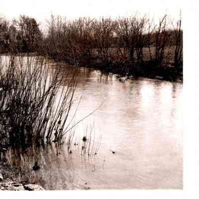 Chaplin River near Shewmaker Bridge on Grapevine Rd. (1971)