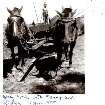 Jerry Foster with Fanny and Daisey