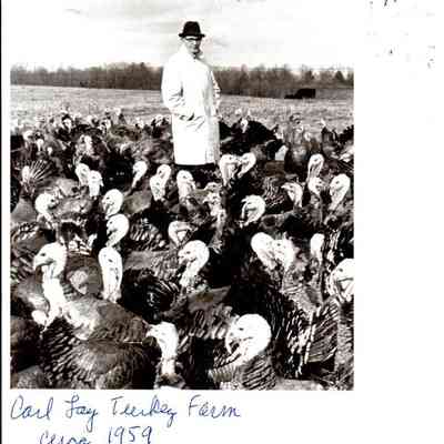 Carl Lay's Turkey Farm