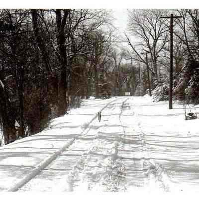 Snowy Path at Beaumont Inn