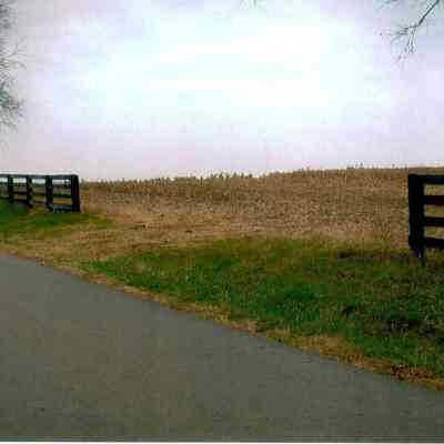 Fields at Anderson Circle Farm 4