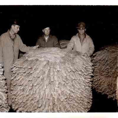 Pictured (L to R) Garnett Forest, Hite Ashford, and unknown individual (1962)