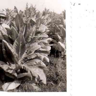 Fred Martin on his farm in August 1956