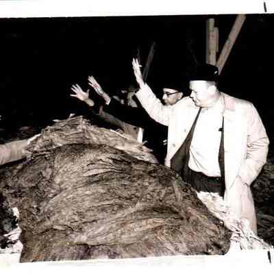 Tobacco Buyers in Mercer County