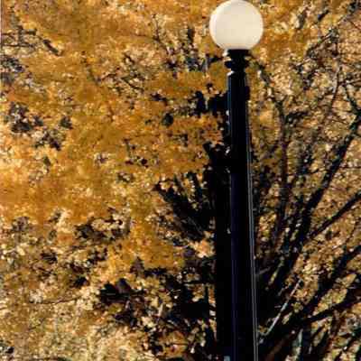 Autumn Leaves in Harrodsburg