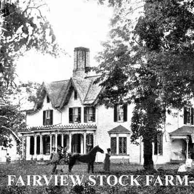 Fairview Stock Farm