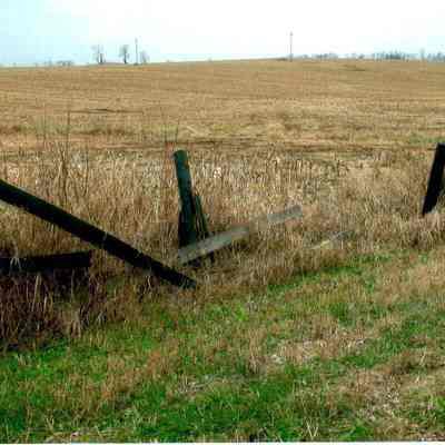 Fields at Anderson Circle Farm 5