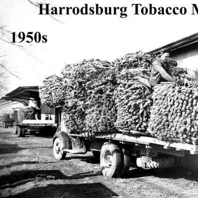 Harrodsburg Tobacco Market