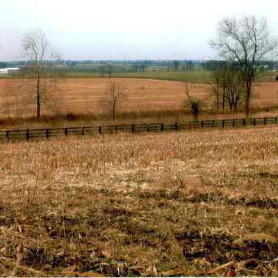Fields at Anderson Circle Farm