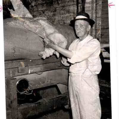 Harve Yates Displaying Wool