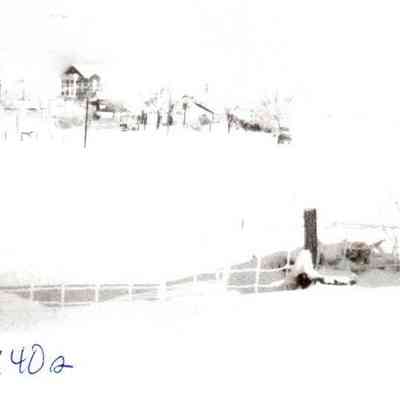 Tablow in the Snow