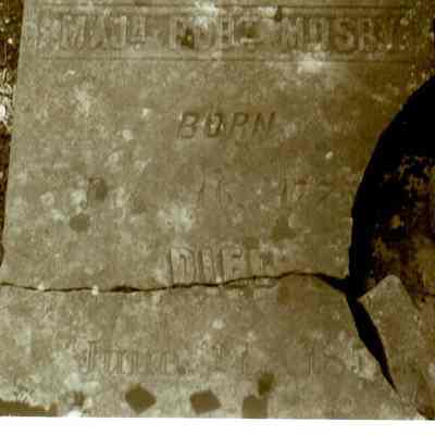 Revolutionary Graves in Burgin