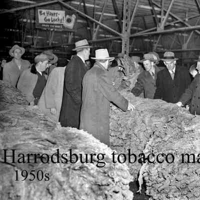 Tobacco Buyers