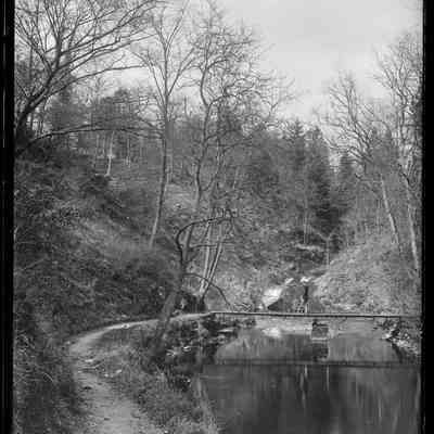 negative, glass plate - Ingleton Thornton Falls