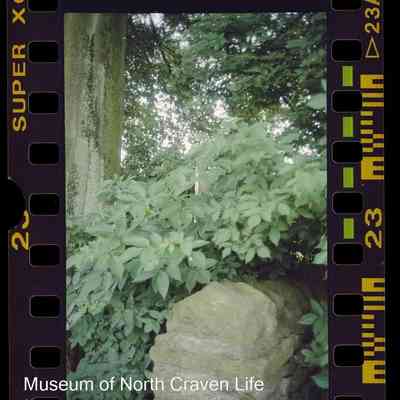negative, roll film - Greenfoot Car Park, Settle