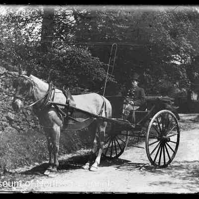 negative, glass plate - Horse and Trap