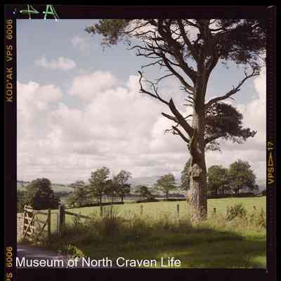 negative, sheet film - Mearbeck, Long Preston : Exterior view across fields