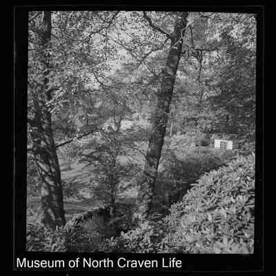 negative, sheet film - The Riddings, Long Preston