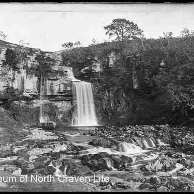 negative, glass plate - Thornton Force