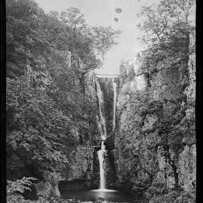 negative, glass plate - Catrigg Force 2 of 4