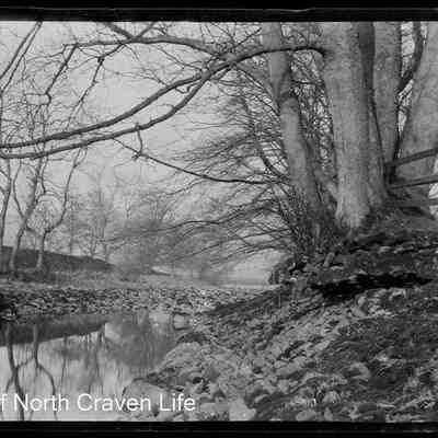 negative, sheet film - River