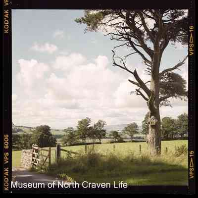 negative, sheet film - Mearbeck, Long Preston : Exterior view across fields