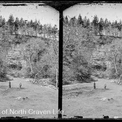 negative, glass plate - Clapham Woods 2 of 2