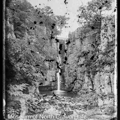 negative, glass plate - Catrigg Force