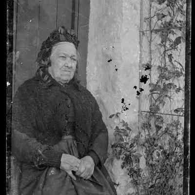 negative, glass plate - Portrait : Lady