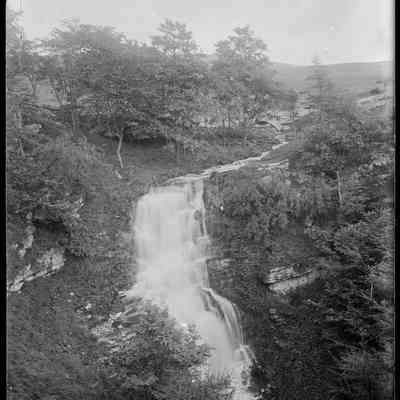 negative, glass plate - Scaleber Force