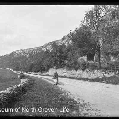 negative, glass plate - Buckhaw Brow (From Entrance to Golf Club)