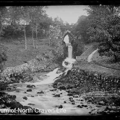 negative, glass plate - Clapham Falls and Wood