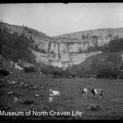 negative, glass plate - Malham Cove