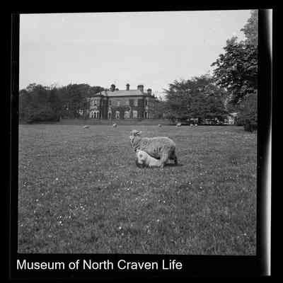 negative, sheet film - Newfield Hall, Calton (Malhamdale)
