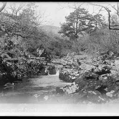 negative, glass plate - Thorns Gill (Ribblehead)